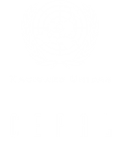 Botón Naciones Unidas